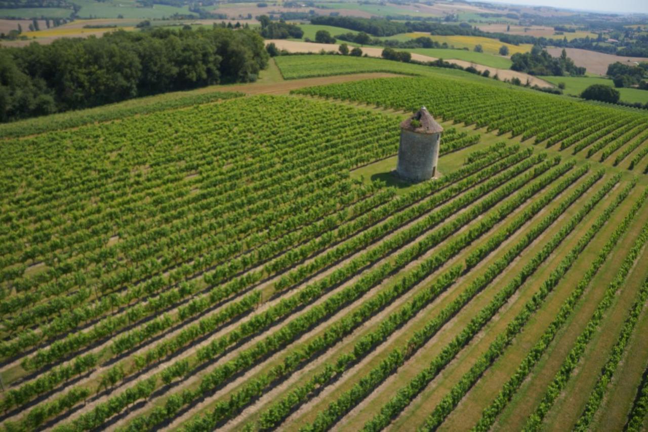 Chateau De Mons Armagnac Caussens Exterior foto