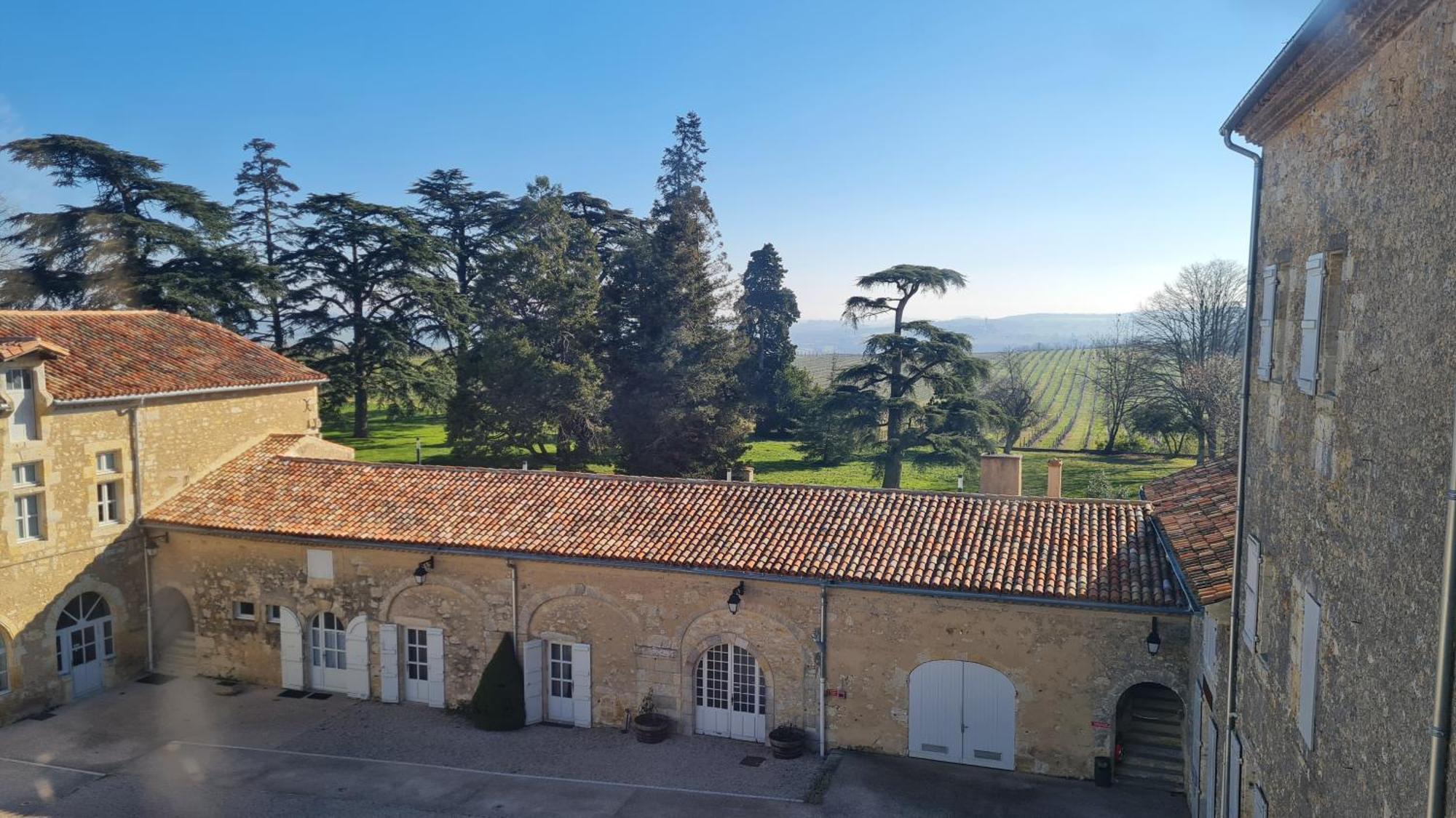 Chateau De Mons Armagnac Caussens Exterior foto